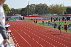 Enlarge photo 170