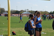 Enlarge photo 179