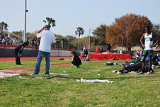 Enlarge photo 203