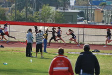 Enlarge photo 225