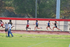 Enlarge photo 227
