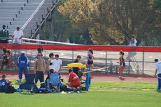 Enlarge photo 228