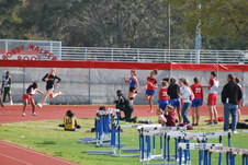 Enlarge photo 234