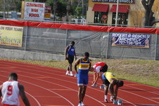 Enlarge photo 237
