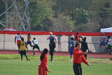 Enlarge photo 249