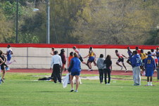 Enlarge photo 251