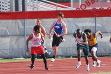 Enlarge photo 252