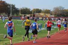 Enlarge photo 278