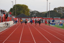 Enlarge photo 341
