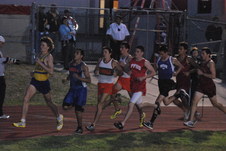 Enlarge photo 377