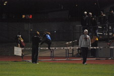 Enlarge photo 458