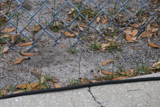 Enlarge photo 155