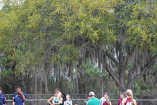 Enlarge photo 158