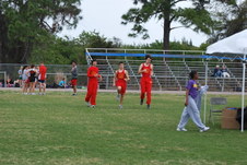 Enlarge photo 171