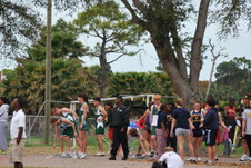 Enlarge photo 215