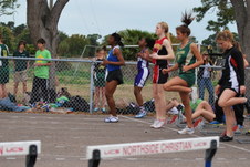 Enlarge photo 228
