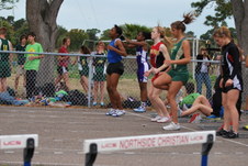 Enlarge photo 229