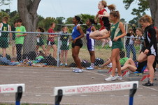 Enlarge photo 230