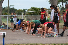 Enlarge photo 231