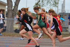 Enlarge photo 237