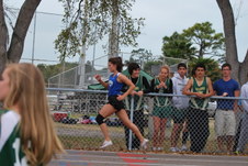 Enlarge photo 259