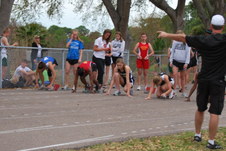 Enlarge photo 260