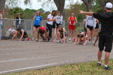 Enlarge photo 261