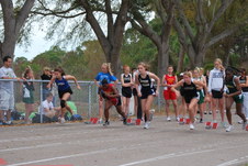 Enlarge photo 266