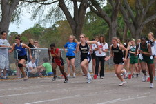 Enlarge photo 267