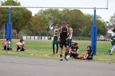 Enlarge photo 276