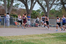 Enlarge photo 317