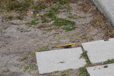 Enlarge photo 405