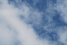Enlarge photo 462