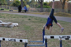Enlarge photo 476
