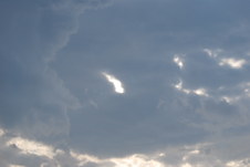Enlarge photo 552