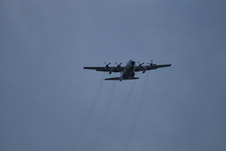 Enlarge photo 556