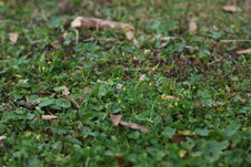 Enlarge photo 592