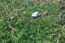 Enlarge photo 607