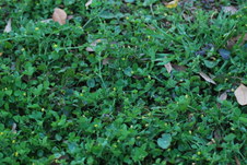 Enlarge photo 677