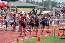 Enlarge photo 137