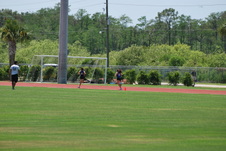 Enlarge photo 146