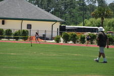 Enlarge photo 219