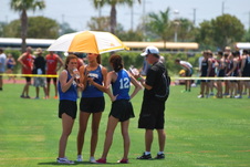 Enlarge photo 223