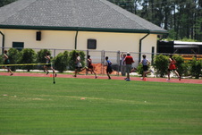 Enlarge photo 330