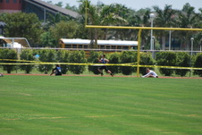 Enlarge photo 347