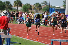 Enlarge photo 659