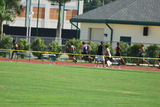 Enlarge photo 772