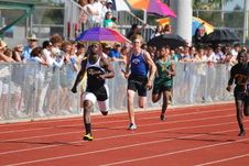 Enlarge photo 779