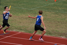 Enlarge photo 118