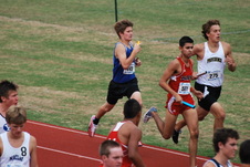 Enlarge photo 126